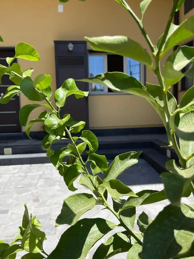 Casa vacanze “I Niputeddi” Villa Nicolosi